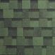 IKO Cambridge Xtreme 43 Amazon Green 32406 фото